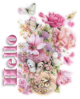 Bonjour  les amis